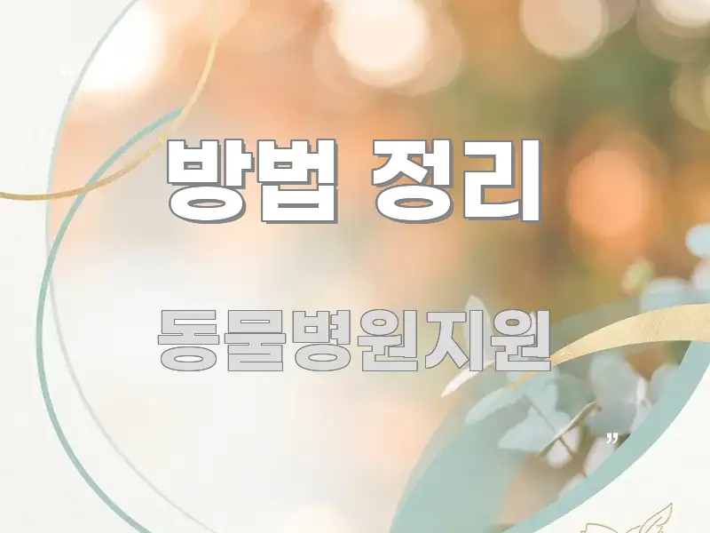방법 정리 전문가가 선별한 포스트 대표 비주얼 이미지
