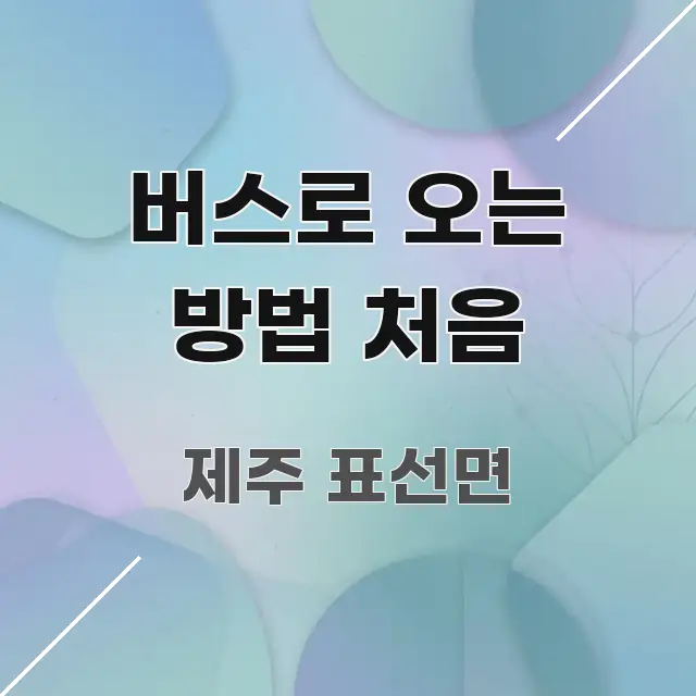 버스로 오는 방법 처음 핵심 요점 중심의 텍스트형 카드뉴스 표지 이미지 - 참고용 이미지