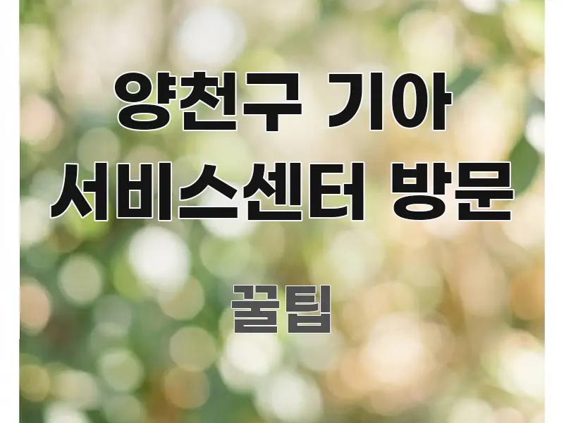 양천구 기아 서비스센터 방문 요점만 뽑아낸 블로그 섹션 구분 이미지 - 참고용 이미지