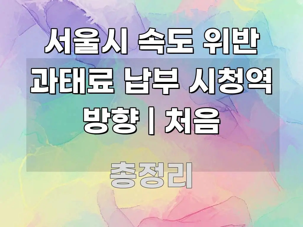 서울시 속도 위반 과태료 납부 시청역 방향 | 처음 구조적으로 정리된 콘텐츠 요약 표지 이미지