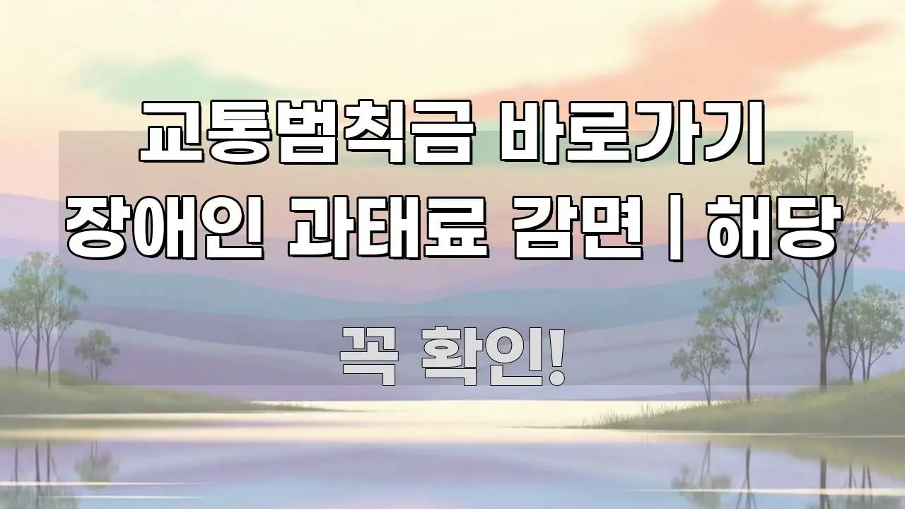 교통범칙금 바로가기 장애인 과태료 감면 | 해당 실용적으로 정리한 텍스트 포스터 이미지 - 활용 예시 이미지