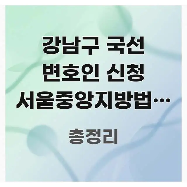 강남구 국선 변호인 신청 서울중앙지방법원 방향 | 처음 신뢰할 수 있는 정보를 담은 정보 카드 디자인 이미지 - 본문 내용과 연관된 이미지