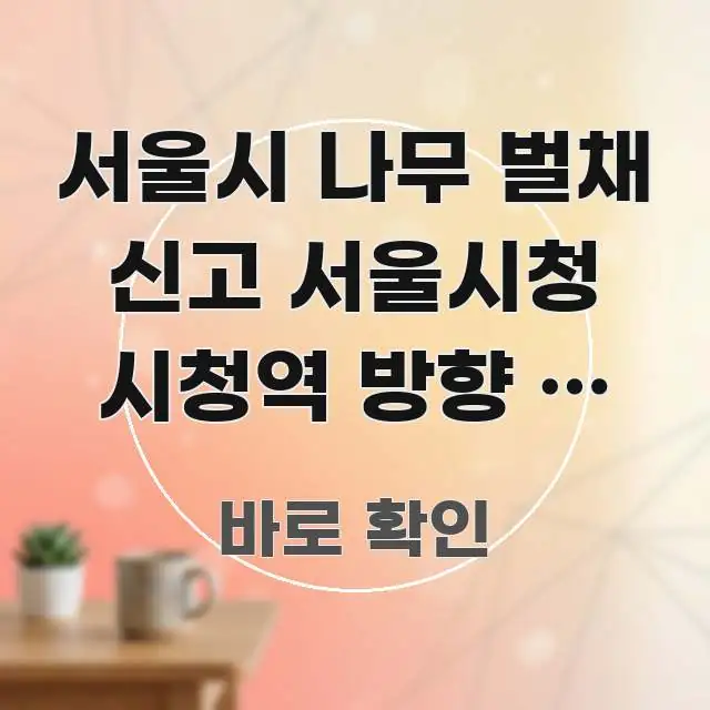 서울시 나무 벌채 신고 서울시청 시청역 방향 | 처음 알기 쉽게 정리한 텍스트 포스터 이미지 - 본문 내용과 연관된 이미지
