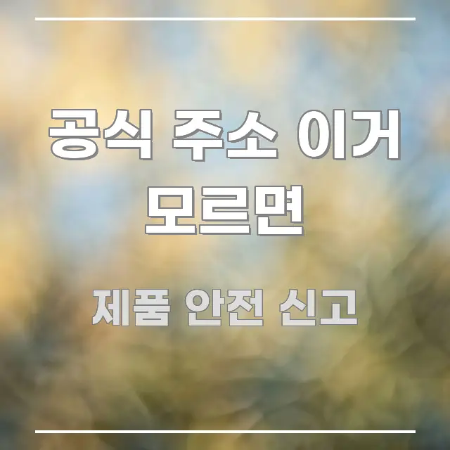 공식 주소 이거 모르면 핵심 요약 공식 주소 이거 모르면 한눈에 보기 좋게 요약한 포스트 대표 비주얼 이미지 - 글 흐름을 돕는 시각 자료