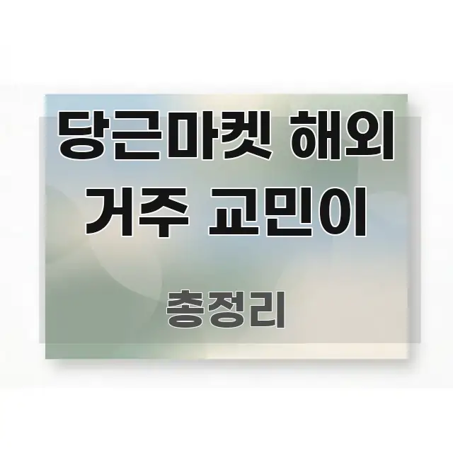 당근마켓 해외 거주 교민이 핵심 요점 중심의 정보 요약 인포그래픽 이미지 - 활용 예시 이미지