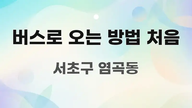 버스로 오는 방법 처음 알기 쉽게 정리한 콘텐츠 요약 표지 이미지