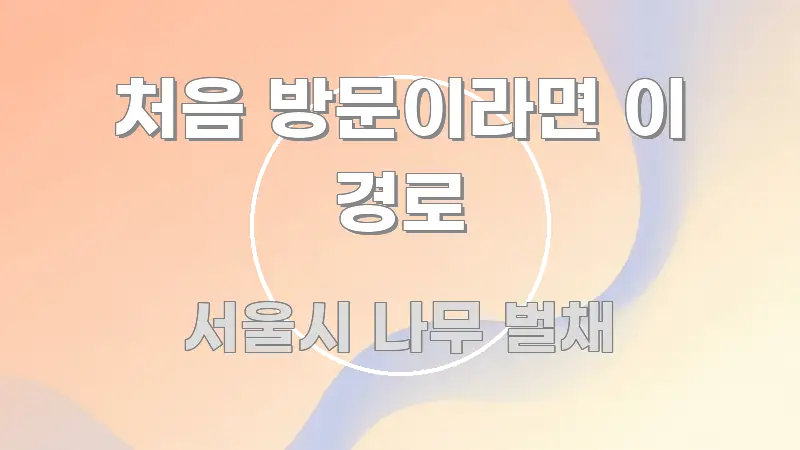 처음 방문이라면 이 경로 실용적으로 정리한 정보 정리 카드 이미지 - 가독성을 높이는 이미지