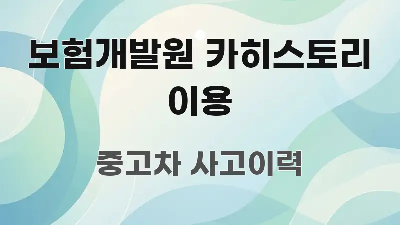 보험개발원 카히스토리 이용 쉽게 따라할 수 있는 정보 전달형 표지 이미지