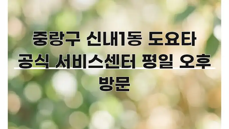 중랑구 신내1동 도요타 공식 서비스센터 평일 오후 방문 실용적으로 정리한 텍스트 중심 디자인 표지 - 독자 이해를 위한 이미지