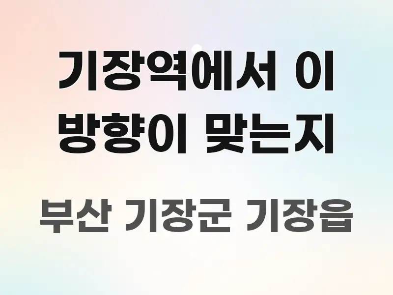 기장역에서 이 방향이 맞는지 핵심 내용을 정리한 텍스트 중심 디자인 표지