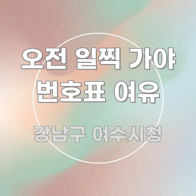 오전 일찍 가야 번호표 여유 핵심 내용을 정리한 정보 요약 인포그래픽 이미지 - 가독성을 높이는 이미지