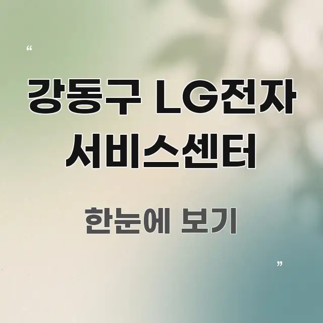 강동구 LG전자 서비스센터 실생활에 도움되는 깔끔한 인포그래픽 표지