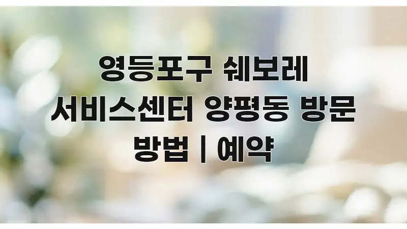 영등포구 쉐보레 서비스센터 양평동 방문 방법 | 예약 핵심만 담은 글 소개 썸네일 이미지 - 본문 내용과 연관된 이미지