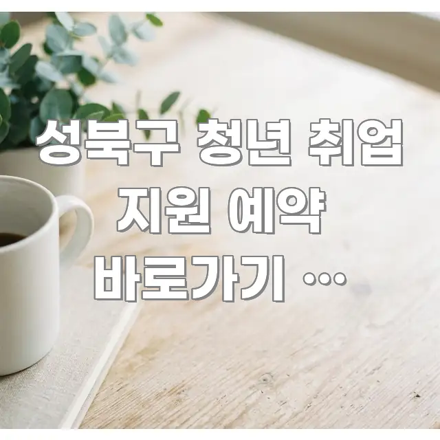 성북구 청년 취업 지원 예약 바로가기 | 성북구 청년 꼭 알아야 할 정보를 담은 정보 정리 카드 이미지 - 본문 내용과 연관된 이미지