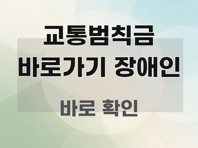 교통범칙금 바로가기 장애인 실용적으로 정리한 스마트 정보 카드 - 내용 요약을 위한 이미지
