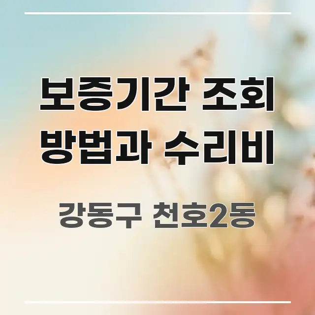 보증기간 조회 방법과 수리비 쉽게 따라할 수 있는 정보 요약 인포그래픽 이미지